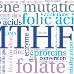 Homocysteine: the genetic factors influencing plasma concentration