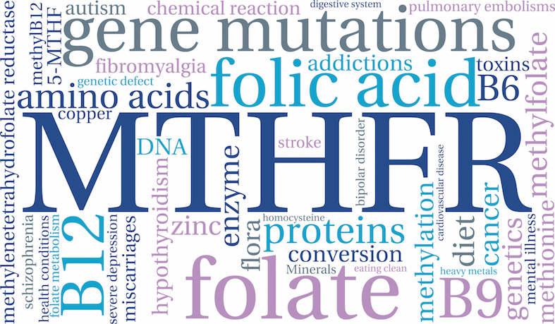 Homocysteine: the genetic factors influencing plasma concentration